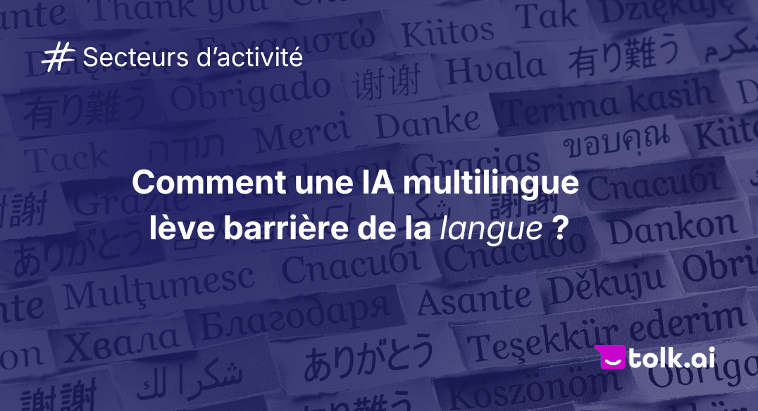 IA multilingue service public tolk ai - schema des flux